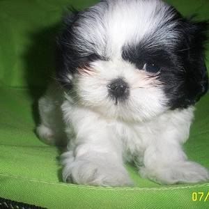 Meet your Posher, Marie